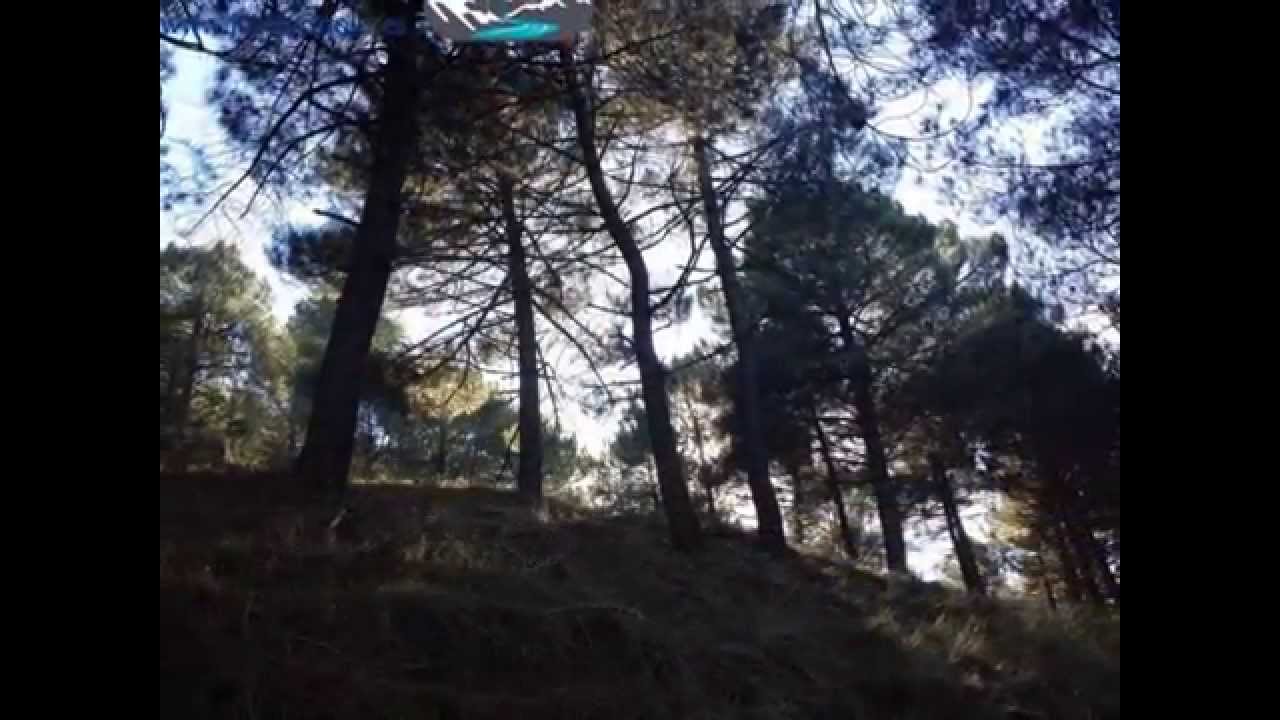 YouTube: “Que agradable cuando la primavera siembra de flores las verdes campiñas.” https://t.co/7g4QWYY0MN