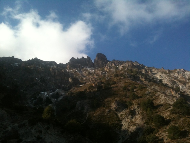 Corazón de la sandia