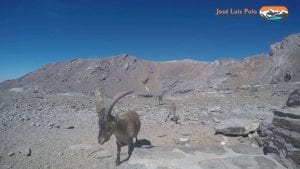 Subida Al Techo De La Península #hiking #gopro #video #mulhacen…
