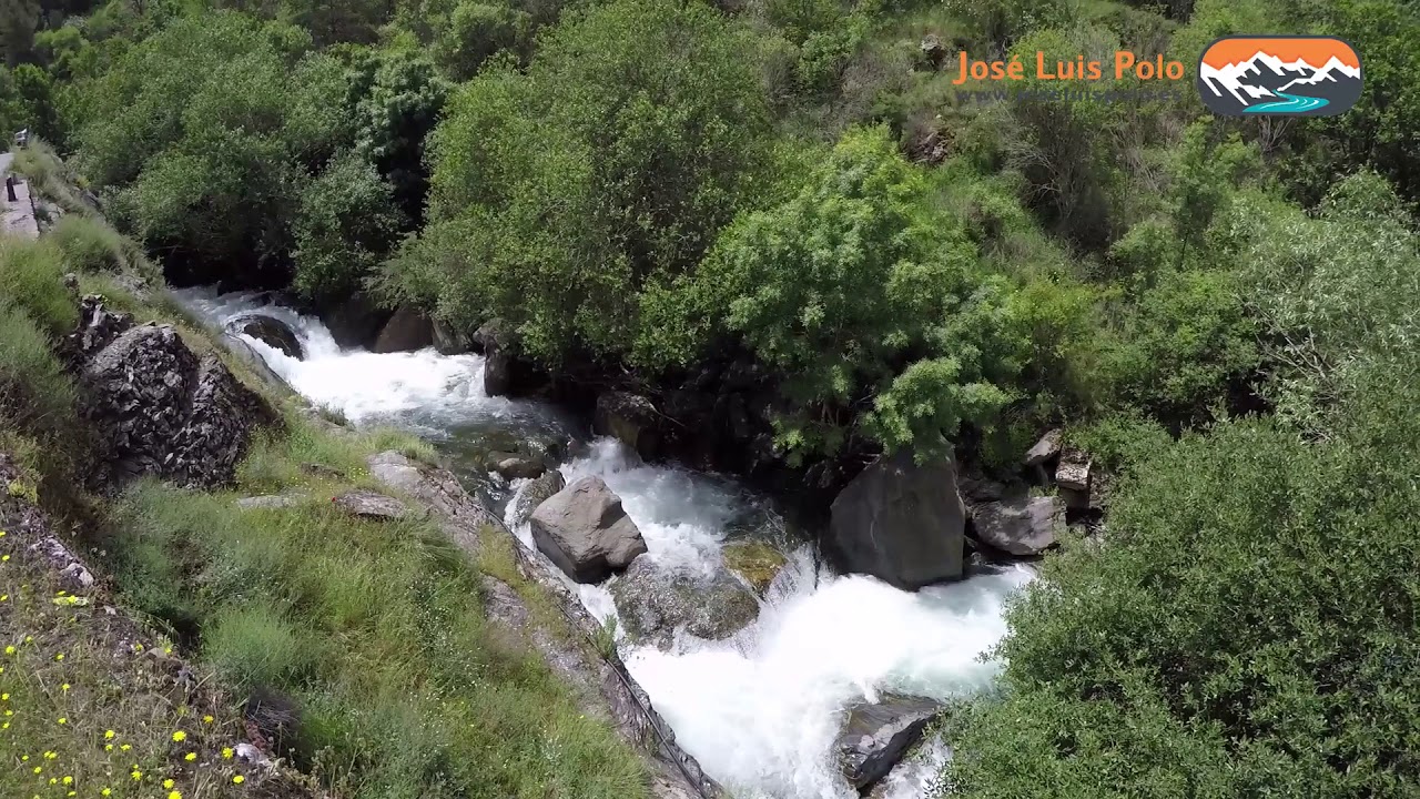 Agua, ¿dónde vas? Riendo voy por el río a las orillas del mar