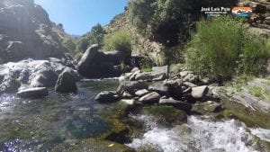 Youtube: Rio Guarnon