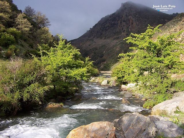 Puerto lobo, cruz de viznar, Puerto lobo
