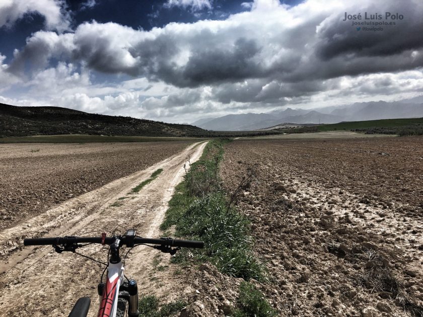 “Por un camino recto, se llega lejos.”
