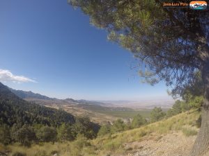 Cerro Huenes (129) Original