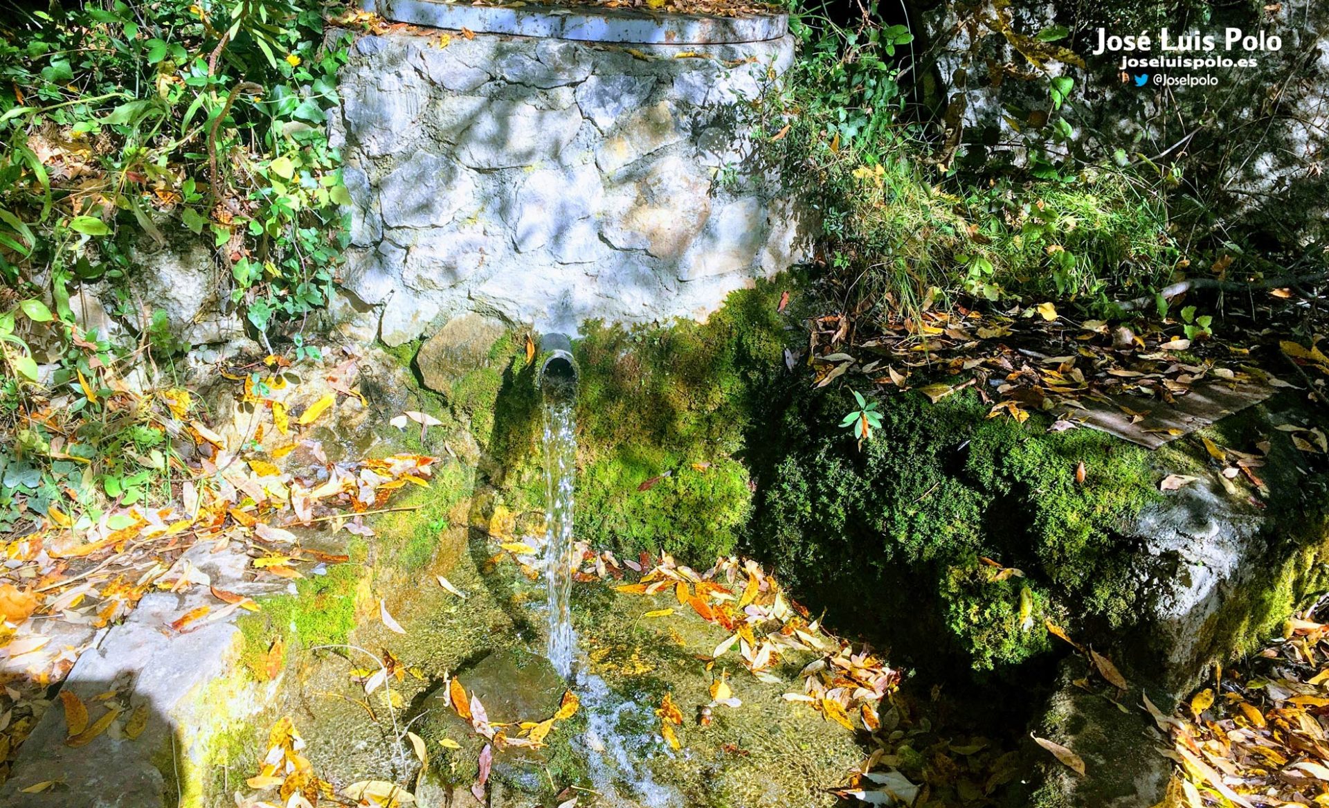 If you imagine it, it’s real.