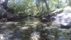 Aldeire El Horcajo 15