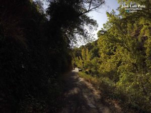 Sendero Del Tranvia Castano El Abuelo 1