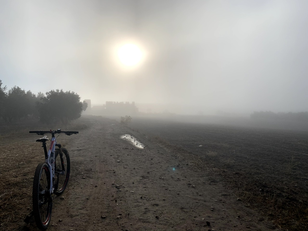 La vida es una rueda