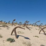 El Cemitério das Âncoras