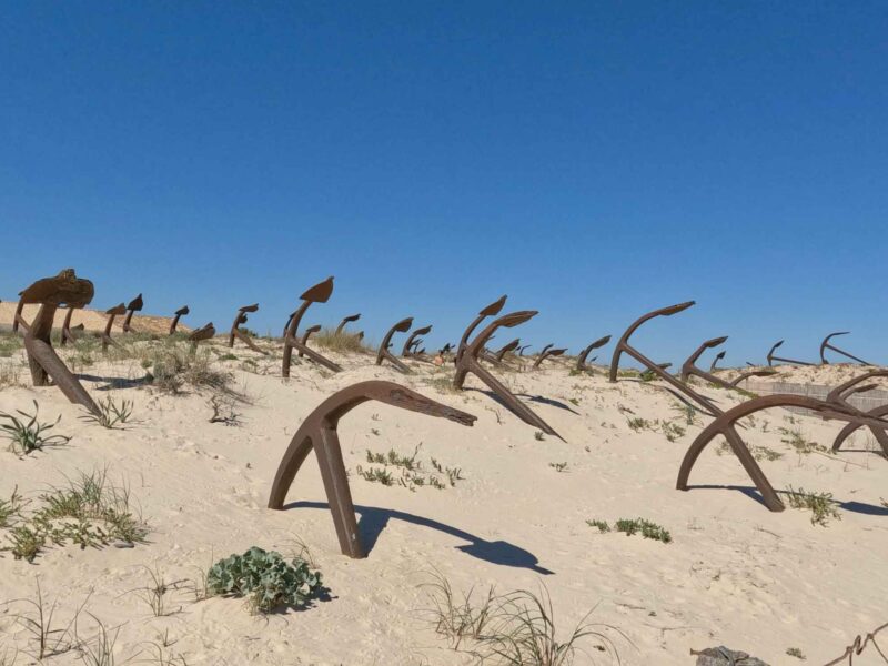 Entre Marismas, Puentes y la Memoria del Mar