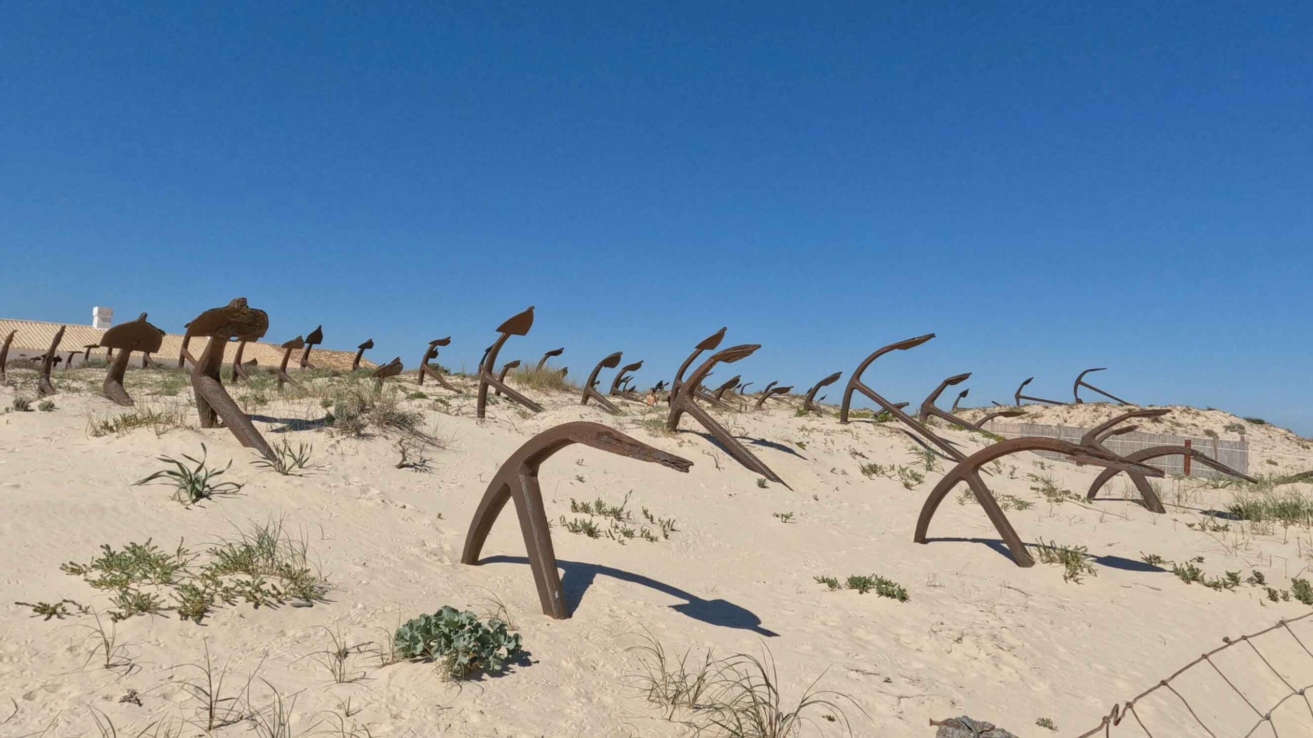 Entre Marismas, Puentes y la Memoria del Mar